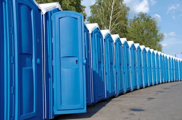 Best Affordable portable toilet rental  in Ferndale, MD